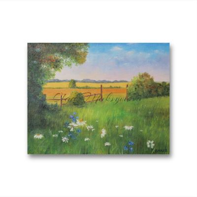 Summer Field With The Flowers