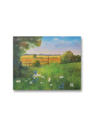 Summer Field With The Flowers